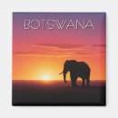 Suche nach botswana magnete Natur