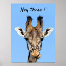 Recherche de tête de girafe posters Faune