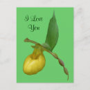 Recherche de slip cartes postales Jaune