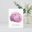 Suche nach floristen postkarten Rose