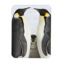 Recherche de empereur magnets Pingouin