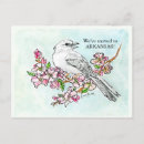 Suche nach spottdrossel postkarten Staat