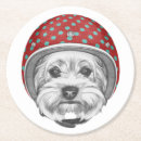 Recherche de yorkshire dessous de verres Chiot