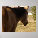 Suche nach zungen poster Lustig