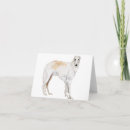 Suche nach borzoi karten Sighthound