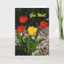 Recherche de tulipes vœux cartes Friend