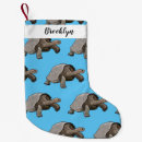 Recherche de tortues chaussette de noël Pour tous