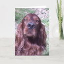 Recherche de poseurs vœux cartes Chien