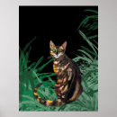 Recherche de chaton tigré posters Félin