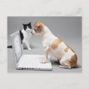 Suche nach konzentration postkarten Spaß