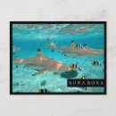 Recherche de scaphandre cartes postales Sous marin