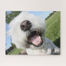 Recherche de westie puzzles Chien