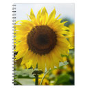 Suche nach sonnenblumen notizbuch Botanisch