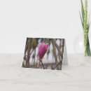 Suche nach rosa magnolien karten Quelle
