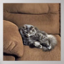 Suche nach sofa poster Foto