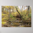 Suche nach brauner baum poster Wald