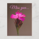 Suche nach i love you postkarten Liebe