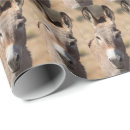 Suche nach lustige esel geschenkpapier Pferd