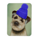 Suche nach grenze magnete Terrier