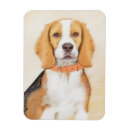 Suche nach beagle magnete Welpe