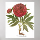 Suche nach besen poster Vintage