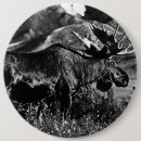Suche nach vintage tiere buttons Elch