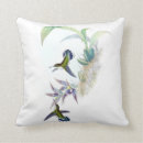 Suche nach kolibri kissen Illustration