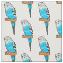 Suche nach budgerigar Vogelvogel