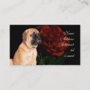 Recherche de mini mastiff Chiot