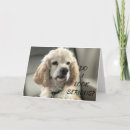 Suche nach cocker spaniel hund karten Lustig