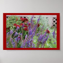 Suche nach salvia poster Salbei