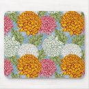 Suche nach chrysantheme mousepads Blüte