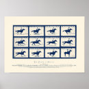 Suche nach wilde pony poster Reiter