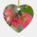 Suche nach azalee ornamente Frühling