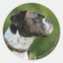 Suche nach profile aufkleber Boxer