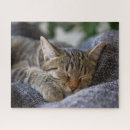 Suche nach reinrassig puzzle Katze