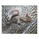 Suche nach schlafendes baby poster Natur