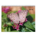 Recherche de de papillon calendriers Photos