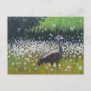 Recherche de oiseau migrateur cartes postales Alaska