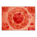 Recherche de chromosome x Cellule