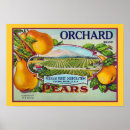 Recherche de caisses de fruit Fruits