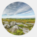 Recherche de buisson autocollants Paysage