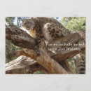 Recherche de léopard mariage invitations Sauvage