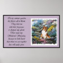 Suche nach sheltie poster Niedlich