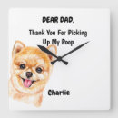 Recherche de chien pomeranian posters Animaux de compagnie