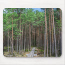 Suche nach immergrün mousepads Baum
