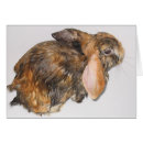 Suche nach häschens postkarten Haustier