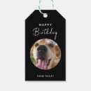 Suche nach hunde geschenkanhänger Für haustiere