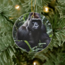 Suche nach gorilla ornamente Wald