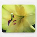 Recherche de jaune pâle tapis souris Fleur